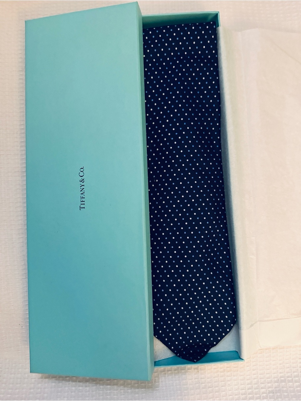 Tiffany & Co. Navy Silk Tie with Light Dot Motif